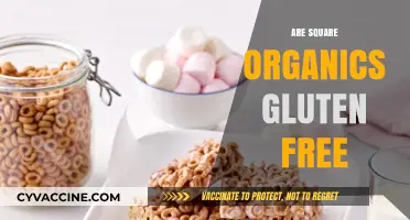 Are Square Organics Gluten-Free? A Complete Guide to Their Products