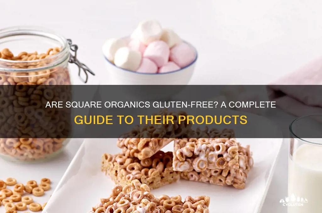 are square organics gluten free