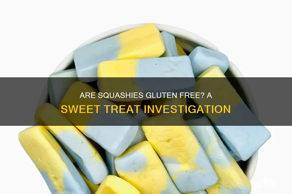are squashies gluten free