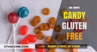 Are Squrtz Candy Gluten-Free? A Sweet and Safe Snack Guide