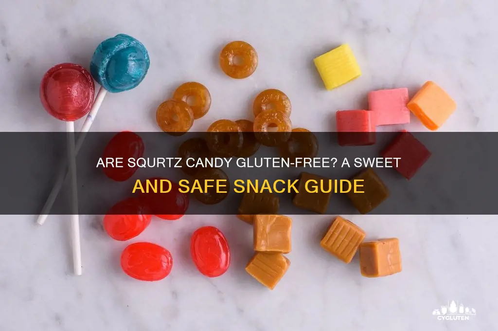 are squrtz candy gluten free
