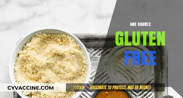 Are Squrtz Gluten-Free? A Complete Guide to Their Ingredients