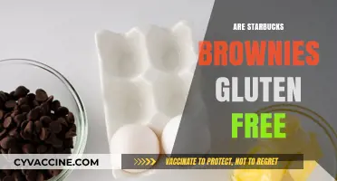 Are Starbucks Brownies Gluten-Free? A Complete Guide for Celiac Eaters