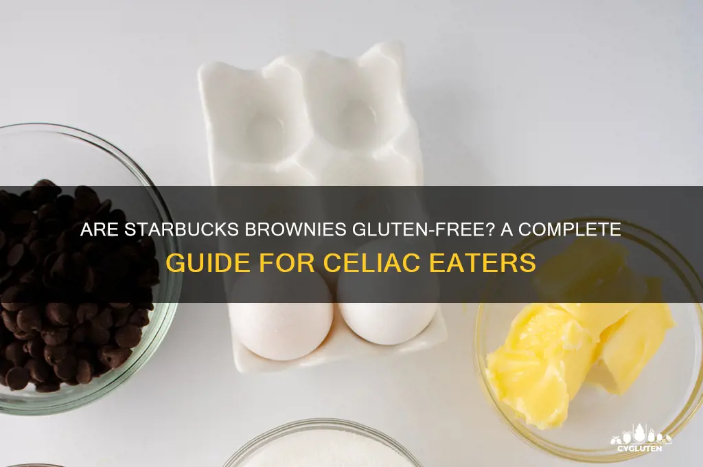 are starbucks brownies gluten free