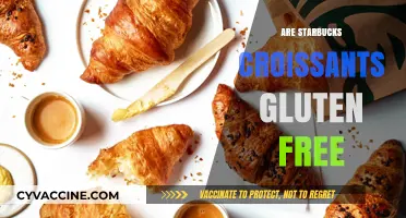 Are Starbucks Croissants Gluten-Free? A Complete Guide for Celiacs