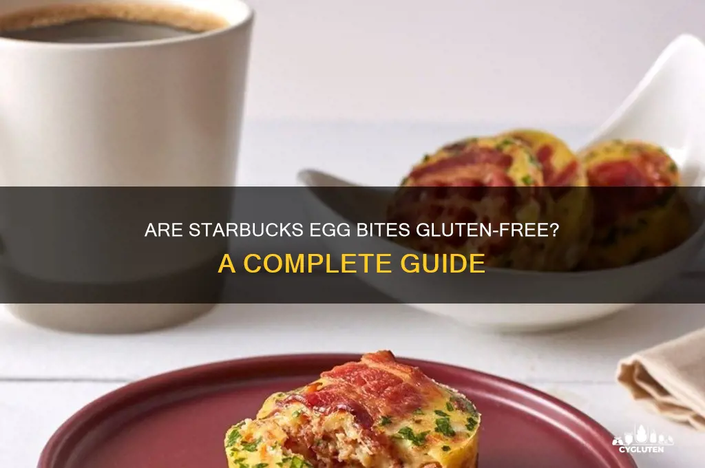 are starbucks eggbites gluten free