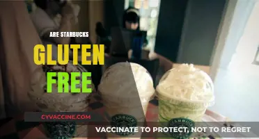 Is Starbucks Gluten-Free? Exploring Menu Options and Safe Choices