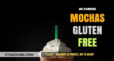 Are Starbucks Mochas Gluten-Free? A Complete Guide for Coffee Lovers