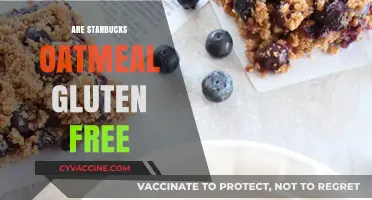 Is Starbucks Oatmeal Gluten-Free? A Complete Guide for Celiac Diners