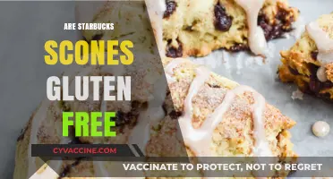 Are Starbucks Scones Gluten-Free? A Complete Guide for Celiac Diners