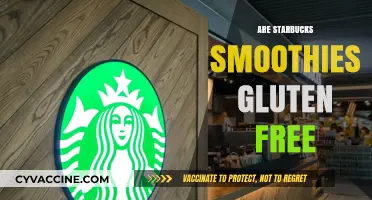 Are Starbucks Smoothies Gluten-Free? A Complete Guide for Celiacs