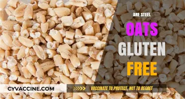 Are Steel Cut Oats Gluten-Free? A Comprehensive Guide for Celiacs