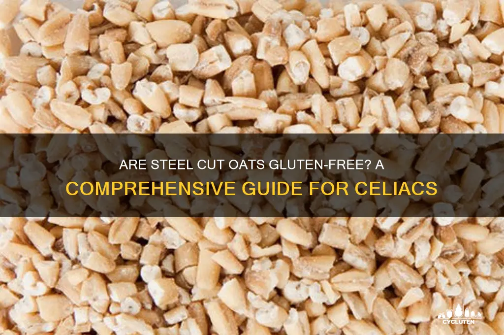are steel oats gluten free