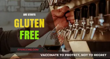 Are Stouts Gluten-Free? Exploring Beer Options for Celiac Drinkers