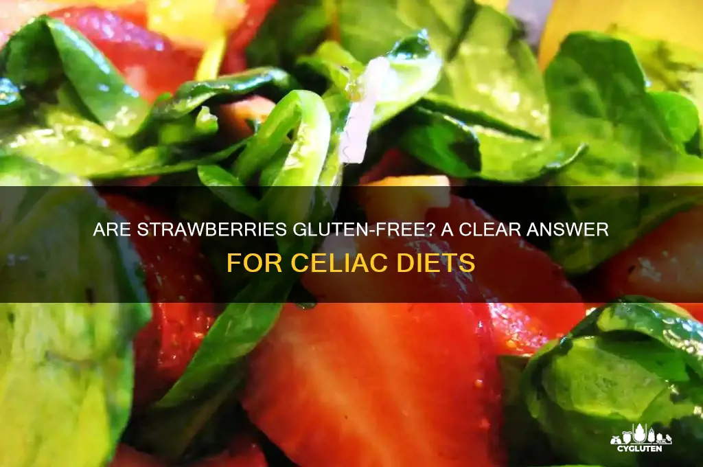 are strawberries gluten-free