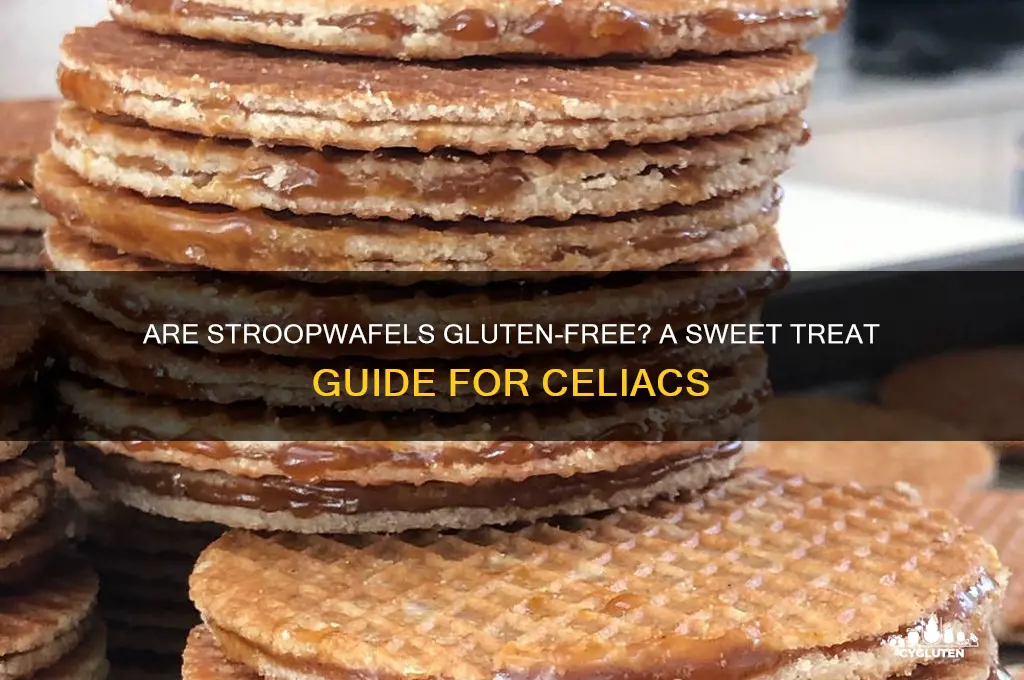 are stroopwafels gluten free