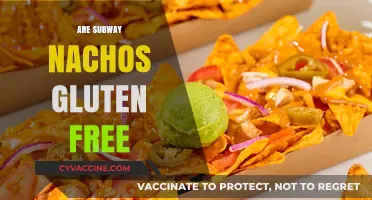 Are Subway Nachos Gluten-Free? A Crunchy Snack Fact Check