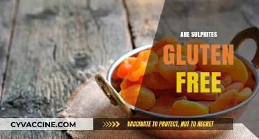Are Sulphites Gluten Free? Understanding Food Additives and Dietary Restrictions