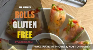 Are Summer Rolls Gluten-Free? A Complete Guide to Ingredients