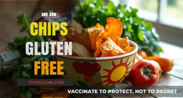 Are Sun Chips Gluten-Free? A Crunchy Snack Fact Check