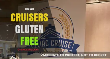 Are Sun Cruisers Gluten-Free? A Comprehensive Guide for Snack Lovers