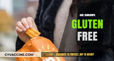Are SunChips Gluten-Free? A Crunchy Snack Fact Check