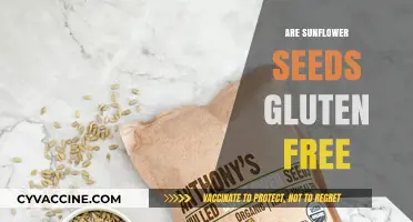 Are Sunflower Seeds Gluten-Free? A Complete Guide for Celiacs