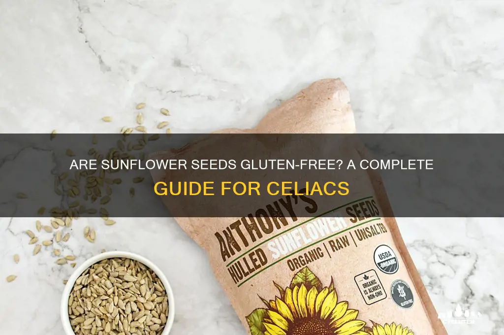 are sunflower seeds gluten free