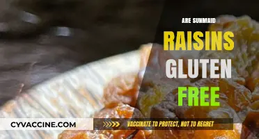 Are Sunmaid Raisins Gluten-Free? A Complete Guide for Celiacs