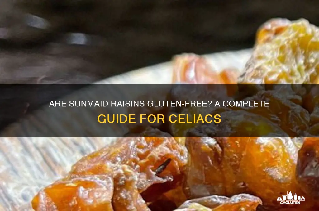 are sunmaid raisins gluten free
