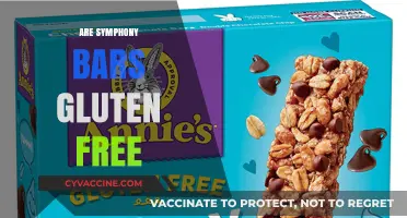 Are Symphony Bars Gluten-Free? A Comprehensive Guide for Chocolate Lovers