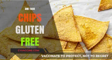 Are Taco Chips Gluten-Free? A Crunchy Snack Fact Check