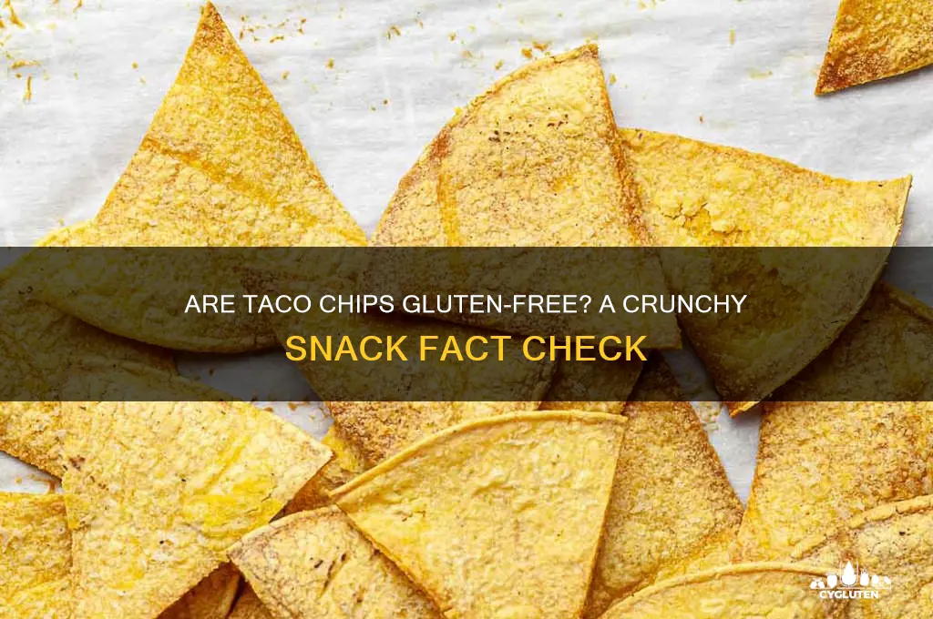 Are Taco Chips GlutenFree? A Crunchy Snack Fact Check CyGluten