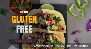 Are Tacos Gluten-Free? A Guide to Safe Taco Eating