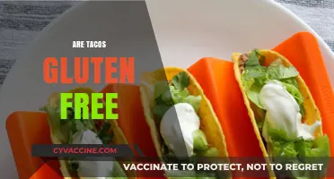 Are Tacos Gluten-Free? A Guide to Safe Taco Enjoyment