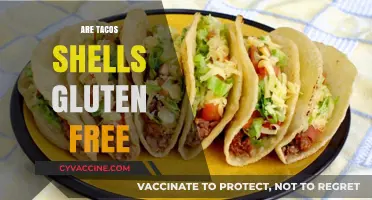 Are Taco Shells Gluten-Free? A Guide to Safe Taco Options