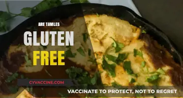 Are Tamales Gluten-Free? Exploring Ingredients and Safe Options