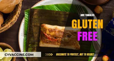 Are Tanales Gluten Free? A Comprehensive Guide to Your Snack Choice