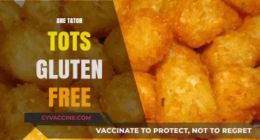 Are Tater Tots Gluten-Free? A Complete Guide for Celiac Diets