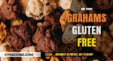 Are Teddy Grahams Gluten-Free? A Snack Lover's Guide