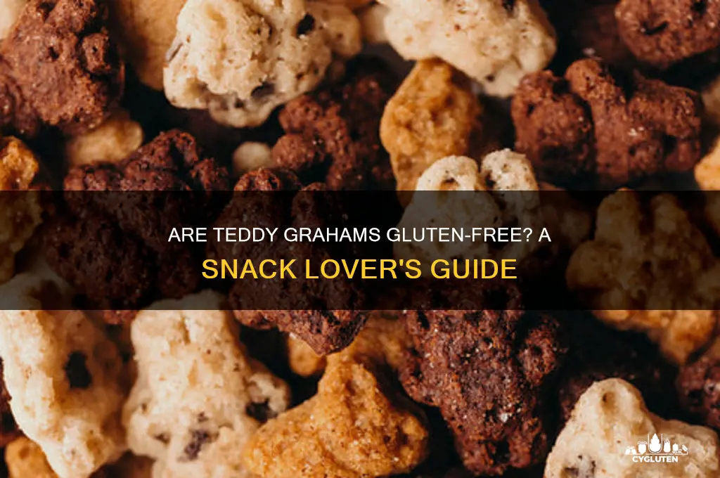 are teddy grahams gluten free