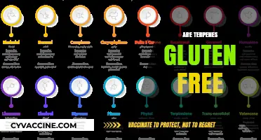 Are Terpenes Gluten-Free? Exploring Their Safety for Celiac Diets