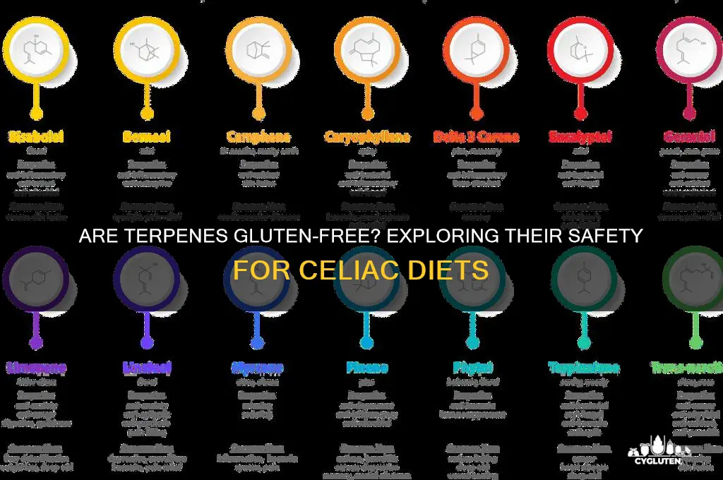 are terpenes gluten free