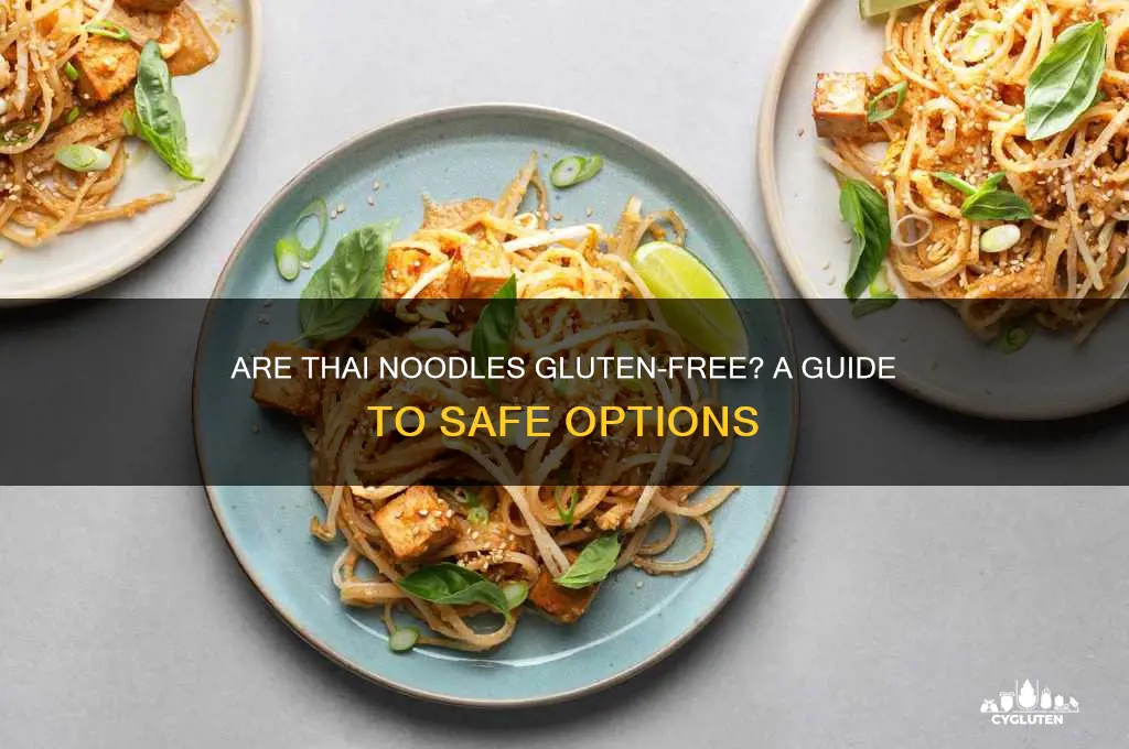 are thai noodles gluten free