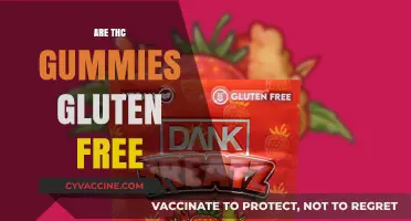 Are THC Gummies Gluten-Free? A Complete Guide for Consumers