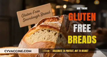 Exploring Gluten-Free Bread Options: Are There Truly Delicious Alternatives?