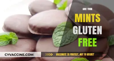 Are Thin Mints Gluten-Free? A Guide to Girl Scout Cookies