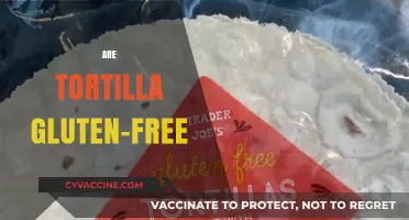 Are Tortillas Gluten-Free? A Guide to Safe Options