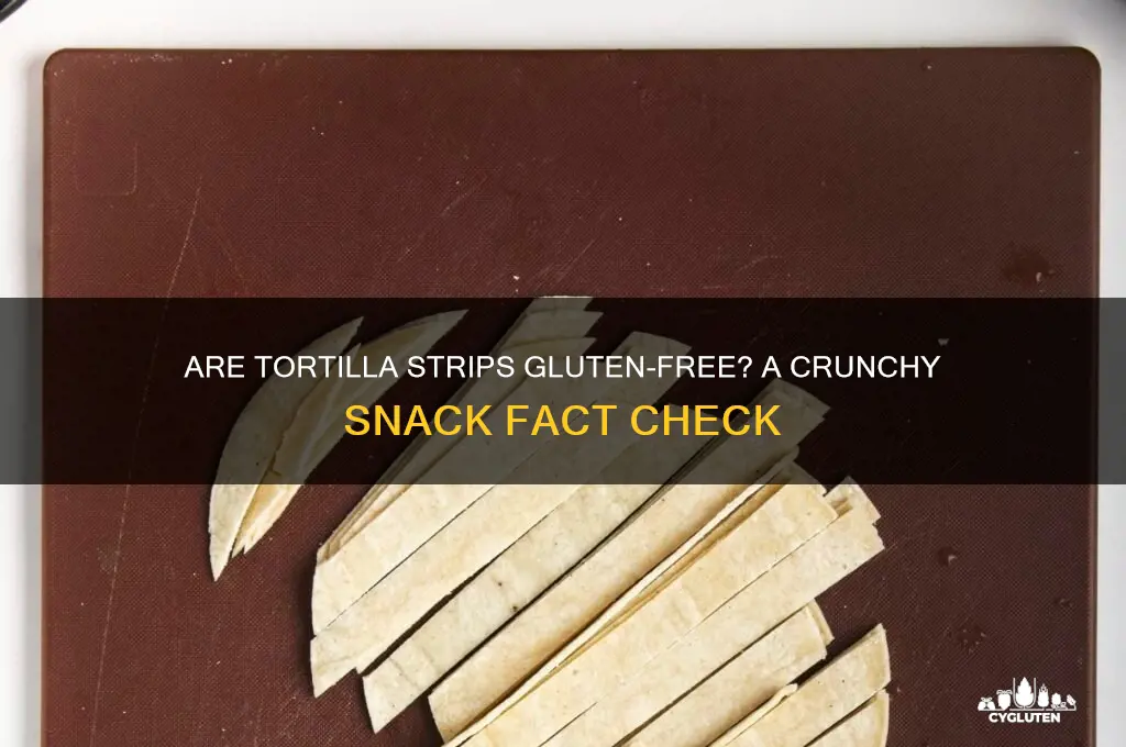 are tortilla strips gluten free