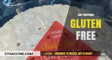 Are Tortillas Gluten-Free? A Comprehensive Guide for Celiac Diets